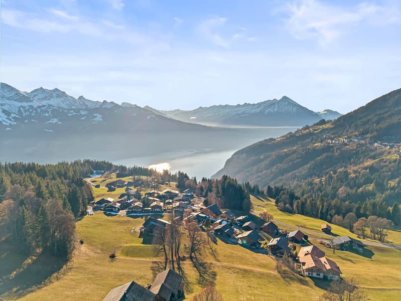 TOP OF OBERLAND : APPARTEMENT PANORAMIQUE MODERNE À BEATENBERG (8)