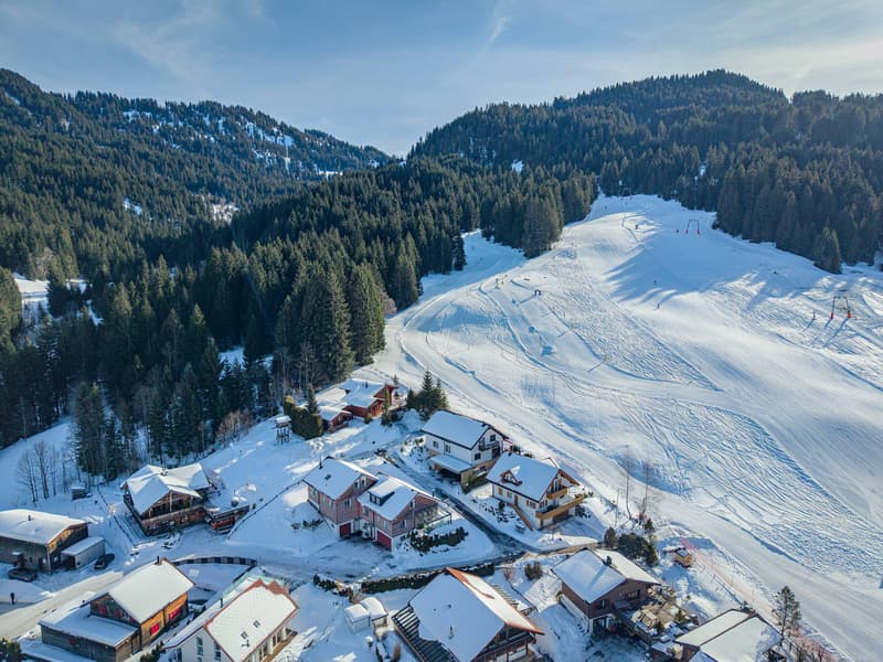 STYLISH LIVING IN ALPTHAL: SUNNY 5.5 ROOM SEMI-DETACHED HOUSE (7)
