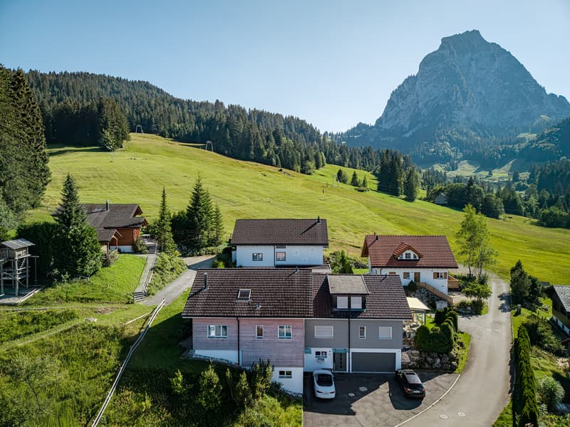 STILVOLLES WOHNEN IM ALPTHAL: SONNIGE 5.5 ZIMMER HAUSHÄLFTE (5)