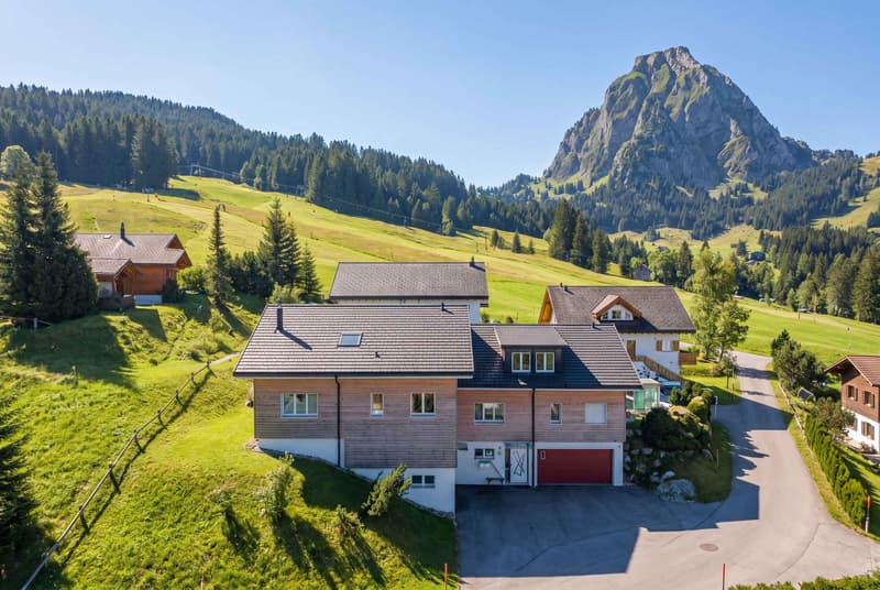 STYLISH LIVING IN ALPTHAL: SUNNY 5.5 ROOM SEMI-DETACHED HOUSE (1)