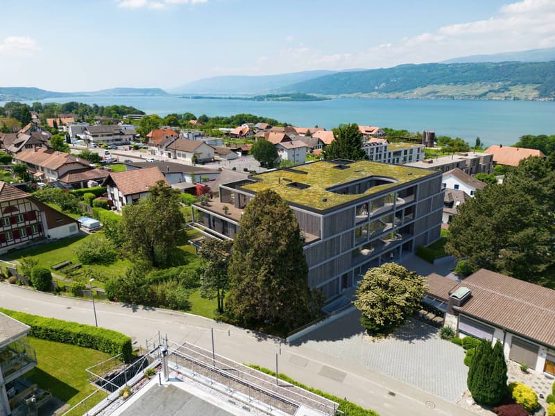 ARCHITECTURE WITHOUT COMPROMISE - SPACIOUS LIVING ON LAKE BIEL (8)