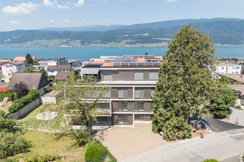 Progetto di nuova costruzione TRIS a Gerolfingen: ultimo appartamento libero da 5,5 locali (6)