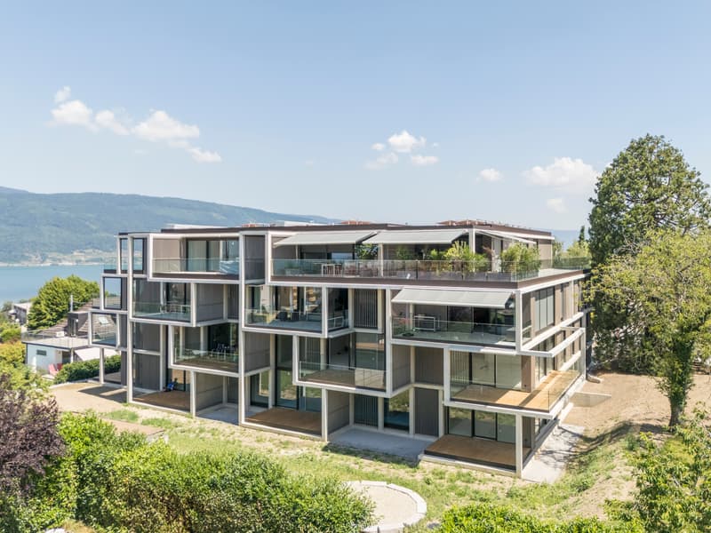 Progetto di nuova costruzione TRIS a Gerolfingen: ultimo appartamento libero da 5,5 locali (5)