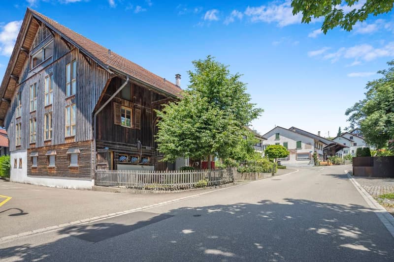 APPARTEMENT UNIQUE DE 3.5 PIÈCES AU CHARME HISTORIQUE (7)
