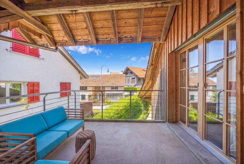 APPARTEMENT UNIQUE DE 3.5 PIÈCES AU CHARME HISTORIQUE (6)