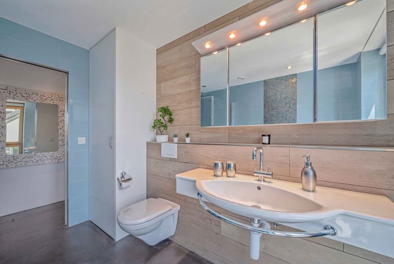APPARTEMENT UNIQUE DE 3.5 PIÈCES AU CHARME HISTORIQUE (5)