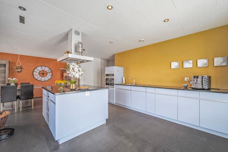 APPARTEMENT UNIQUE DE 3.5 PIÈCES AU CHARME HISTORIQUE (3)