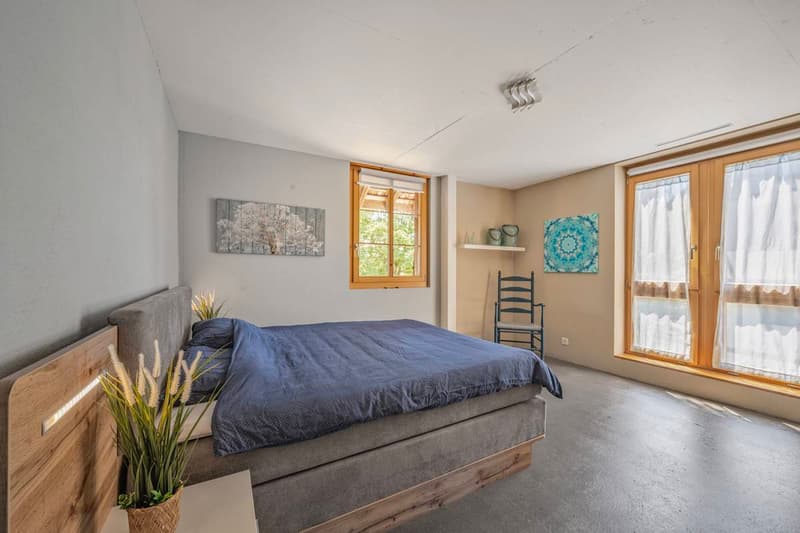 APPARTEMENT UNIQUE DE 3.5 PIÈCES AU CHARME HISTORIQUE (4)