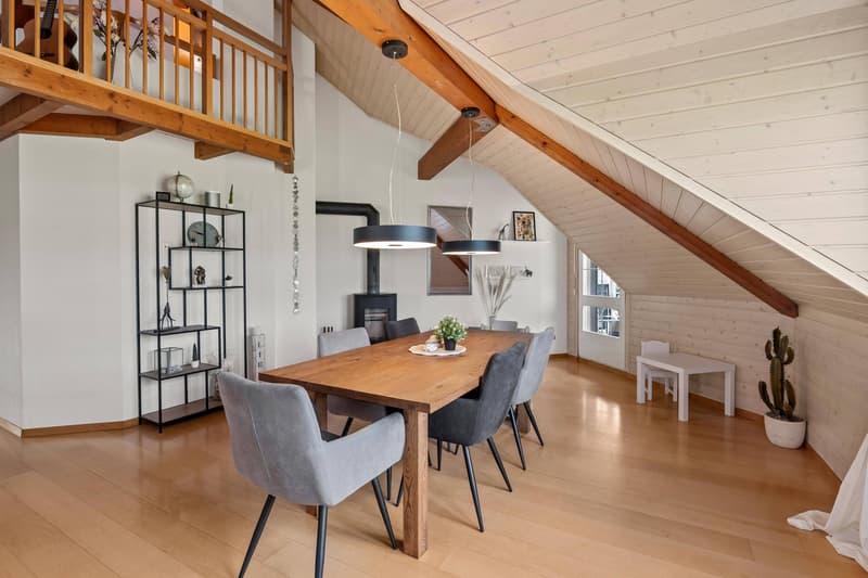 LARGE PENTHOUSE - CHARMING AND AFFORDABLE (4)