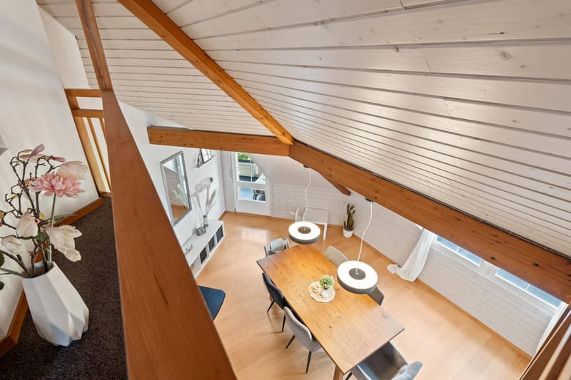 LARGE PENTHOUSE - CHARMING AND AFFORDABLE (5)