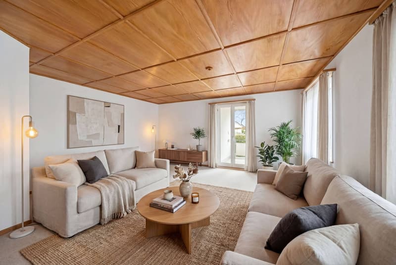 MULTIFUNCTIONAL HOUSE IN THE CENTER (3)