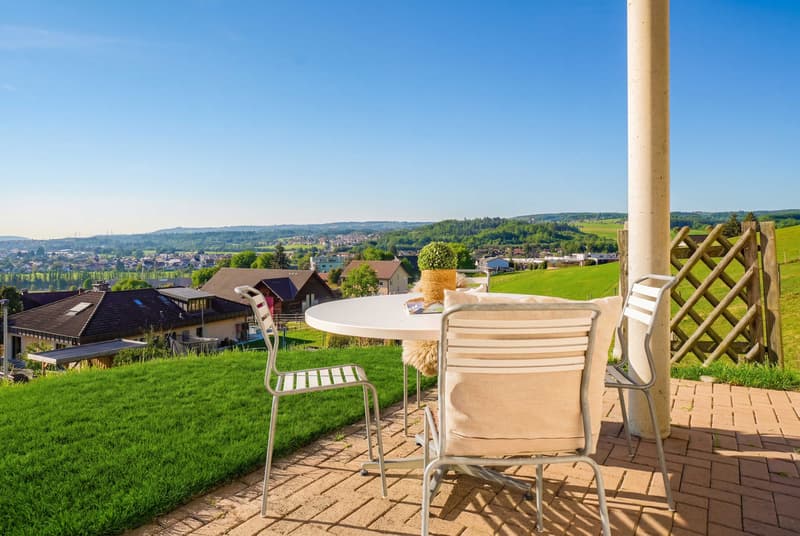 A HIGH ON THE PANORAMIC VIEW OVER THE HIGH RHINE VALLEY (7)