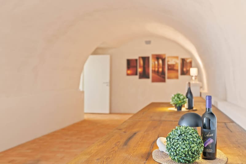 PLUS DE NATURE. PLUS DE CALME. PLUS DE CONFORT - APPARTEMENT EXCLUSIF AVEC UNE TERRASSE DE 213 M² (7)