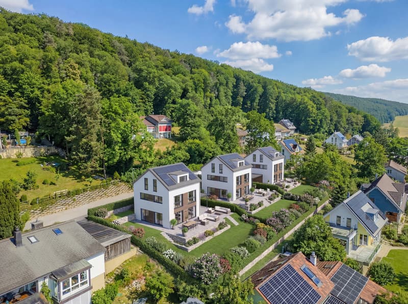 PREISWERTES BAULAND FÜR FREISTEHENDES EINFAMILIENHAUS (2)