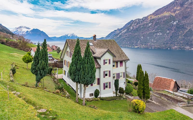 PERLE D'HABITATION SUISSE AUTHENTIQUE SUR UN VERSANT ENSOLEILLÉ (1)