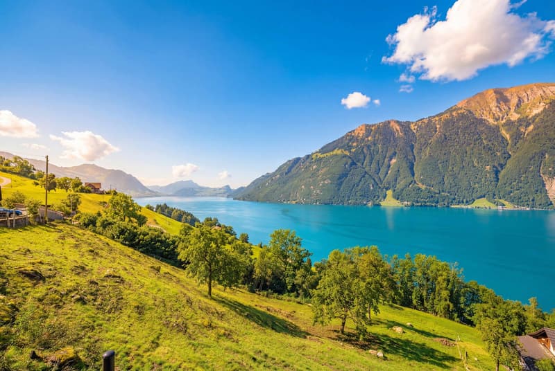 OPPORTUNITY IN SEELISBERG - BUILDING LAND WITH FORESIGHT (4)