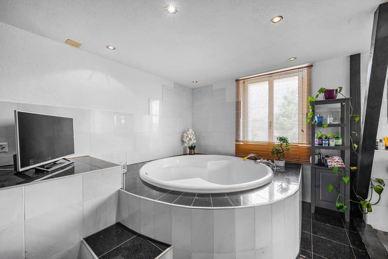 FLEXIBILITY MIRACLE WITH MORE THAN 500 M² OF USABLE SPACE (3)