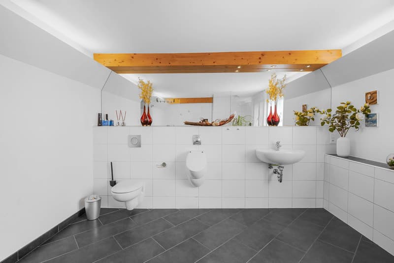 FLEXIBILITY MIRACLE WITH MORE THAN 500 M² OF USABLE SPACE (6)