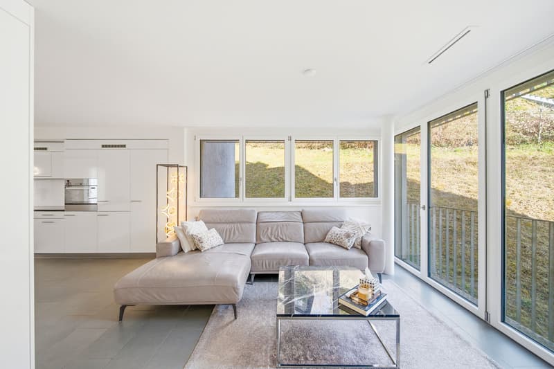 96 M² MODERN LIVING AMBIENCE IN WINTERTHUR (2)