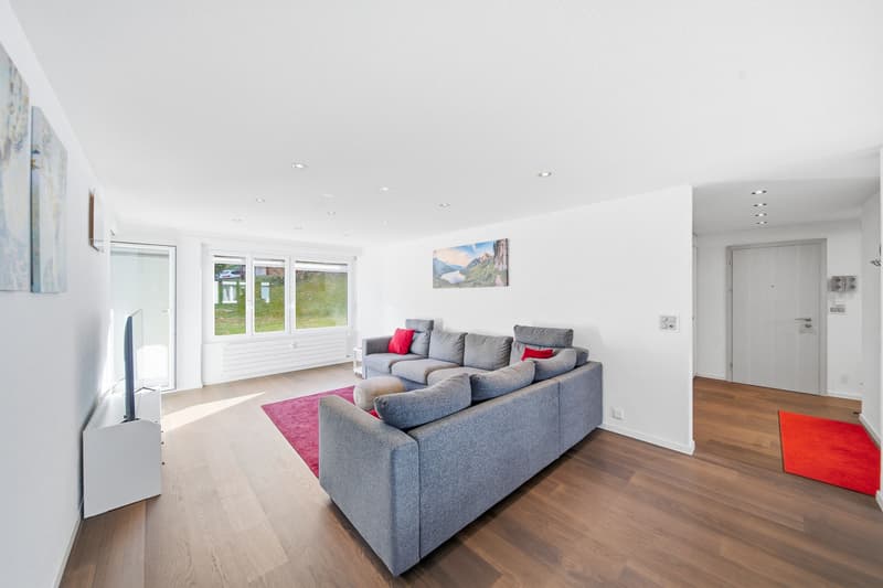 LIVING WITH MOUNTAIN AND LAKE VIEW IN UNTERTERZEN (2)