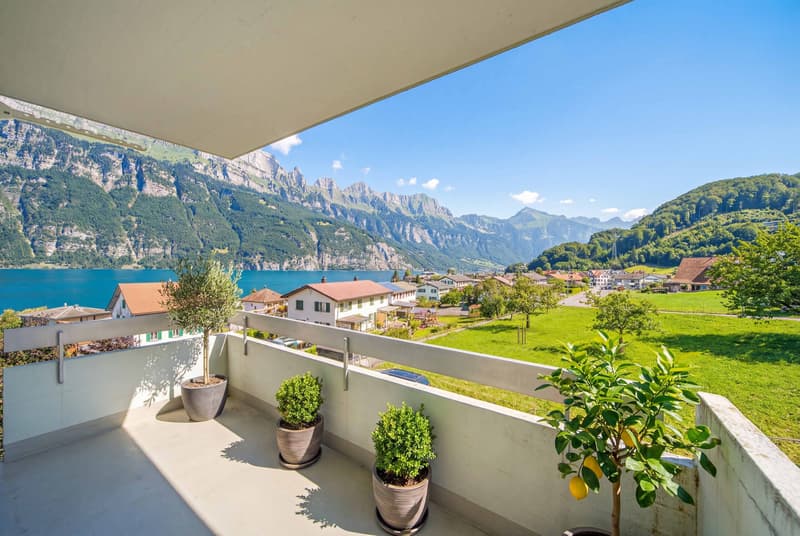LIVING WITH MOUNTAIN AND LAKE VIEW IN UNTERTERZEN (1)