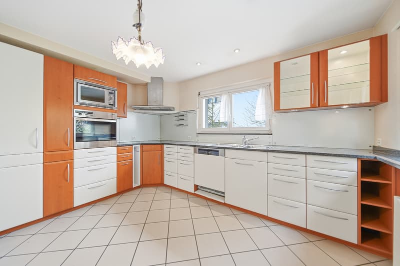 PROXIMITY TO THE CITY MEETS TRANQUILLITY A FAMILY HOME WITH DEVELOPMENT POTENTIAL IN OLTEN (3)