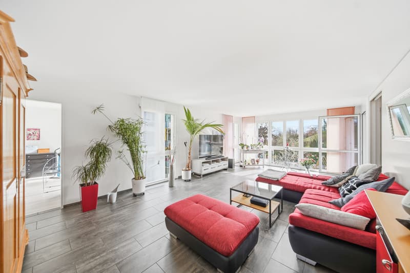 LIVING COMFORT WITH CONSERVATORY - LIVING IN RÜTI (1)