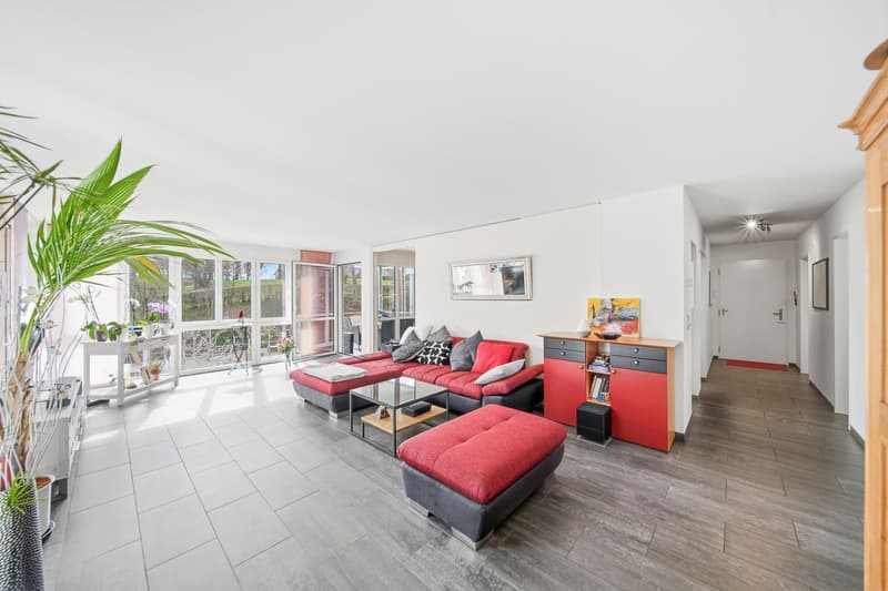 LIVING COMFORT WITH CONSERVATORY - LIVING IN RÜTI (2)