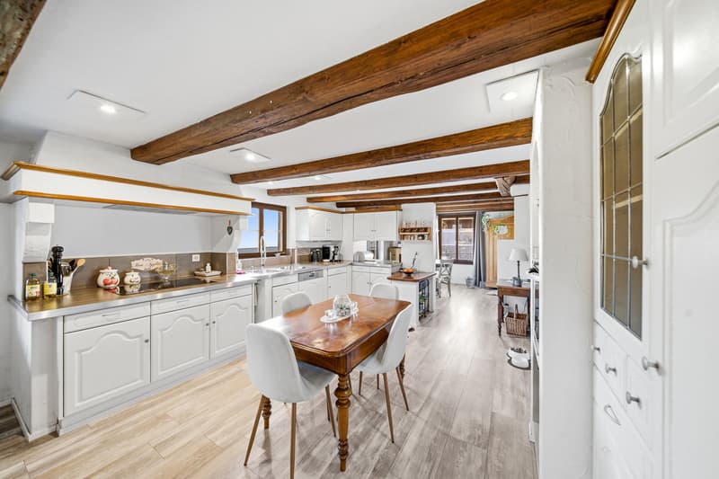 SYMBIOSIS BETWEEN CLASSIC & COMFORT - 7.5 ROOM HOUSE WITH GRANNY APARTMENT (3)