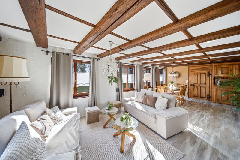 SYMBIOSIS BETWEEN CLASSIC & COMFORT - 7.5 ROOM HOUSE WITH GRANNY APARTMENT (2)