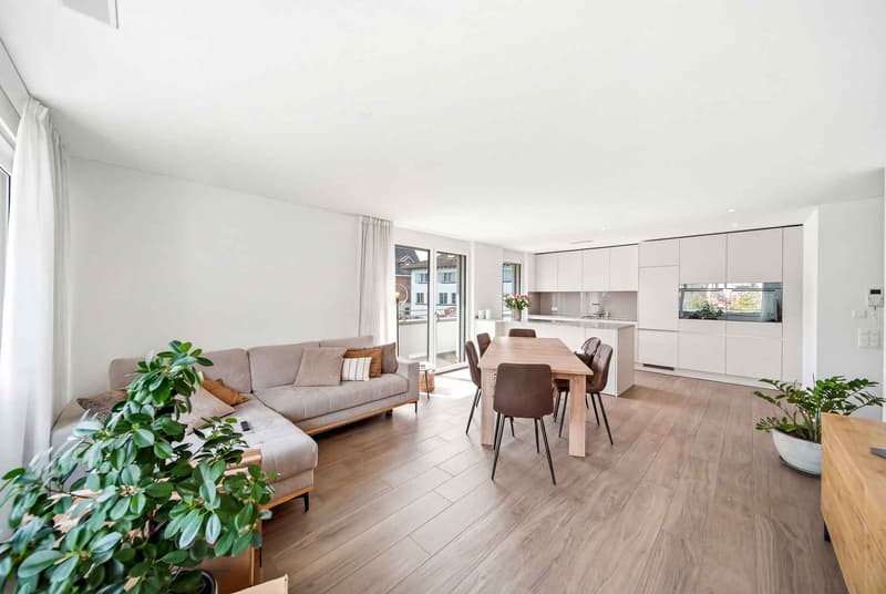 MODERN LIVING IN LUCERNE (2)