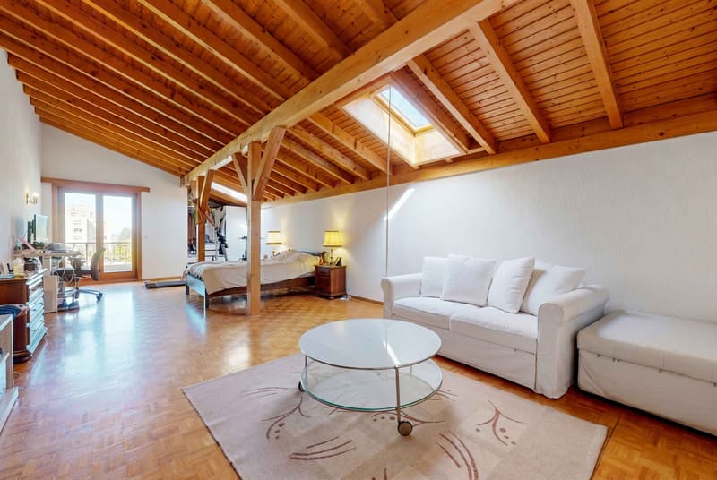 GREAT OPPORTUNITY IN FREIBURG - MULTI-FAMILY HOUSE WITH 3 APARTMENTS (5)