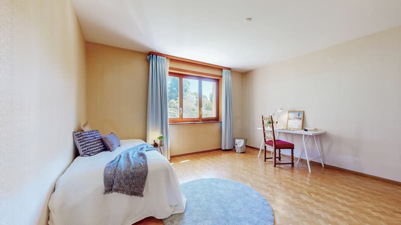 GREAT OPPORTUNITY IN FREIBURG - MULTI-FAMILY HOUSE WITH 3 APARTMENTS (3)