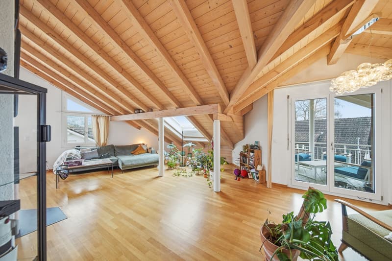 ROOFTOP BAAR - ELEGANTE ATTICO DI 4,5 STANZE (2)