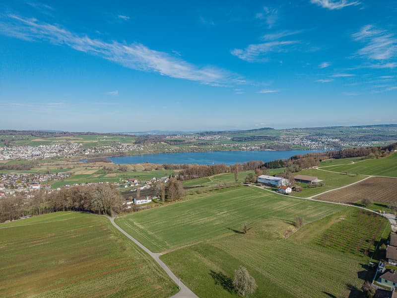 865 M2 RESIDENTIAL BUILDING LAND HIGH ABOVE LAKE HALLWIL (7)