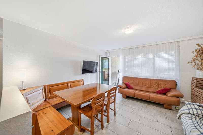 BETWEEN NATURE AND CITY - 2.5 ROOM APARTMENT IN WIDEN (1)