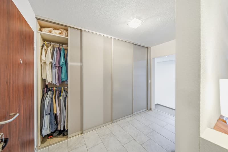 BETWEEN NATURE AND CITY - 2.5 ROOM APARTMENT IN WIDEN (4)