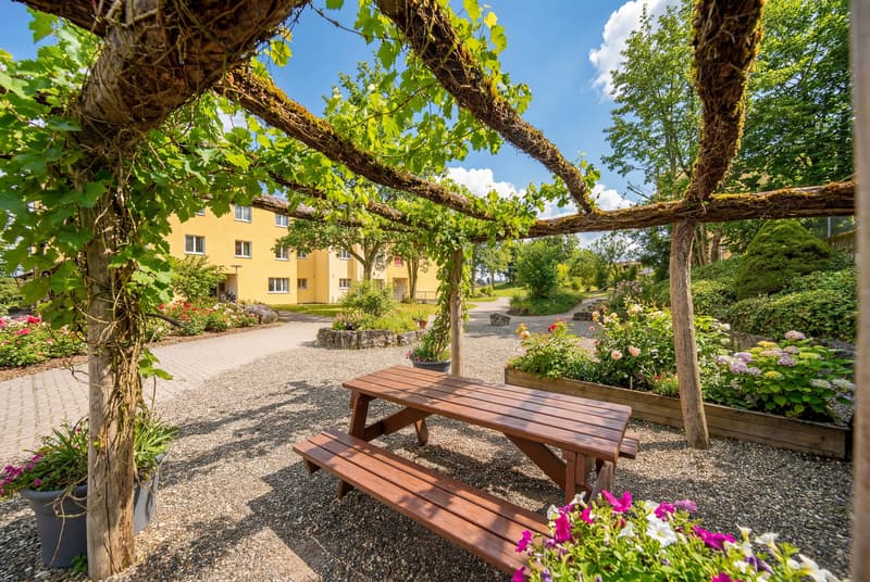 BETWEEN NATURE AND CITY - 2.5 ROOM APARTMENT IN WIDEN (7)