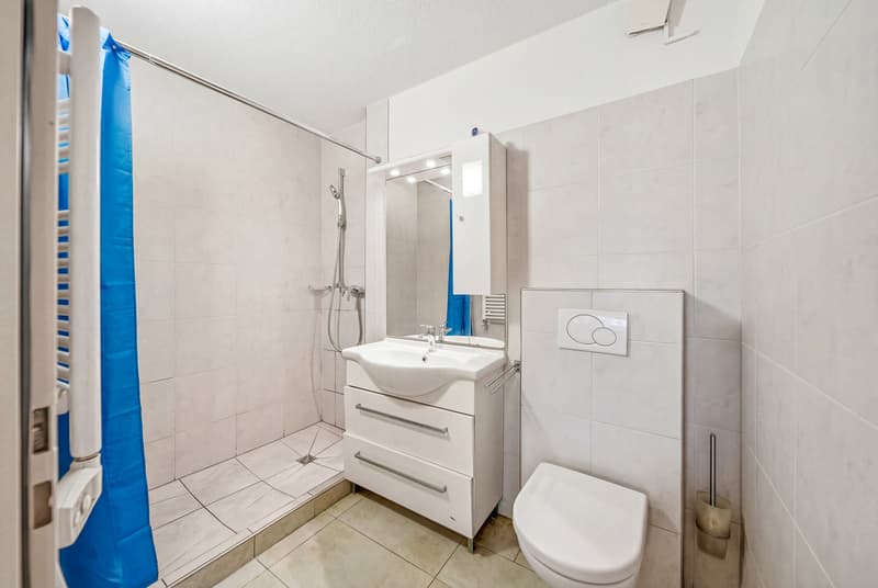 BETWEEN NATURE AND CITY - 2.5 ROOM APARTMENT IN WIDEN (5)
