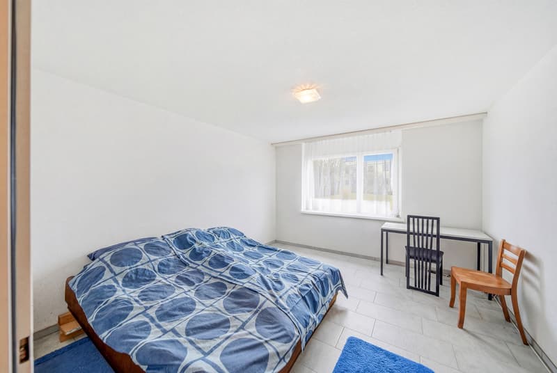 BETWEEN NATURE AND CITY - 2.5 ROOM APARTMENT IN WIDEN (3)