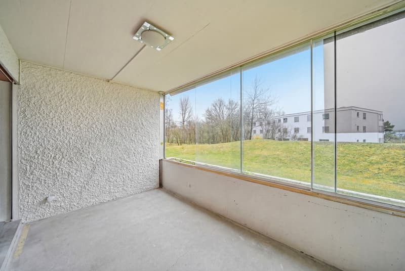 BETWEEN NATURE AND CITY - 2.5 ROOM APARTMENT IN WIDEN (6)