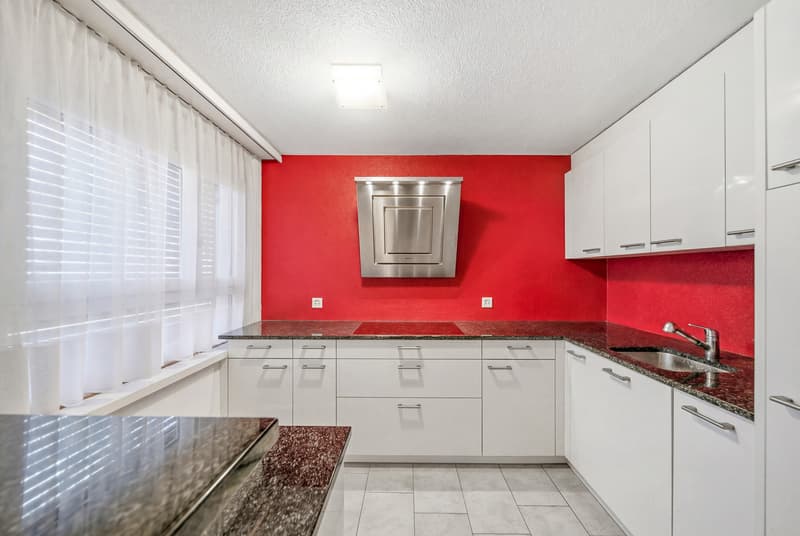 BETWEEN NATURE AND CITY - 2.5 ROOM APARTMENT IN WIDEN (2)