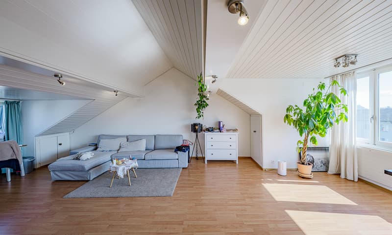 CITY OPPORTUNITY IN BASEL- HIRZBRUNNEN: MULTI-FAMILY HOUSE WITH 4 UNITS (2)