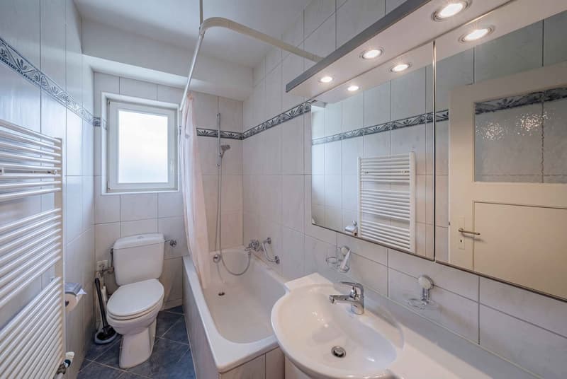 CITY OPPORTUNITY IN BASEL- HIRZBRUNNEN: MULTI-FAMILY HOUSE WITH 4 UNITS (6)