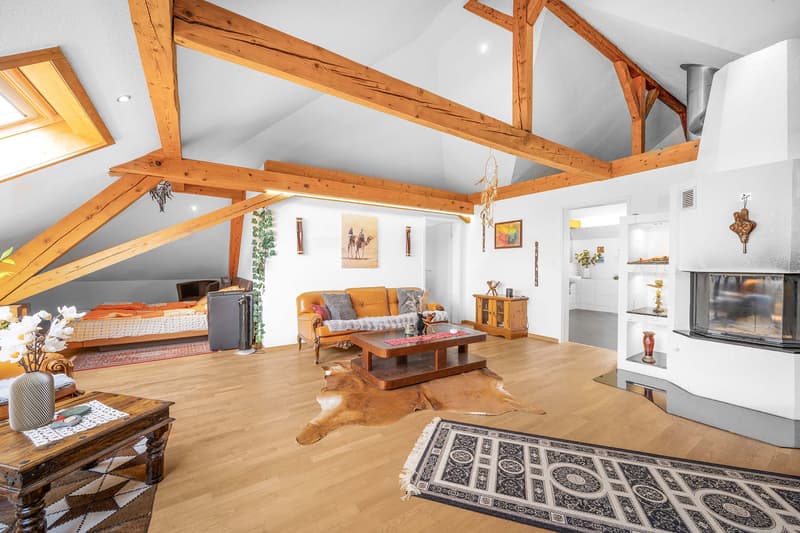 UN MIRACLE DE FLEXIBILITÉ AVEC PLUS DE 500 M² DE SURFACE UTILE (4)