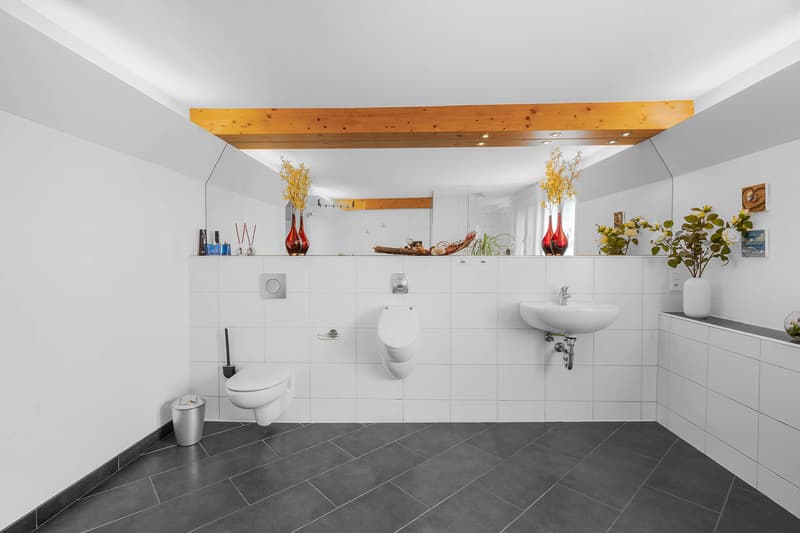 UN MIRACLE DE FLEXIBILITÉ AVEC PLUS DE 500 M² DE SURFACE UTILE (6)
