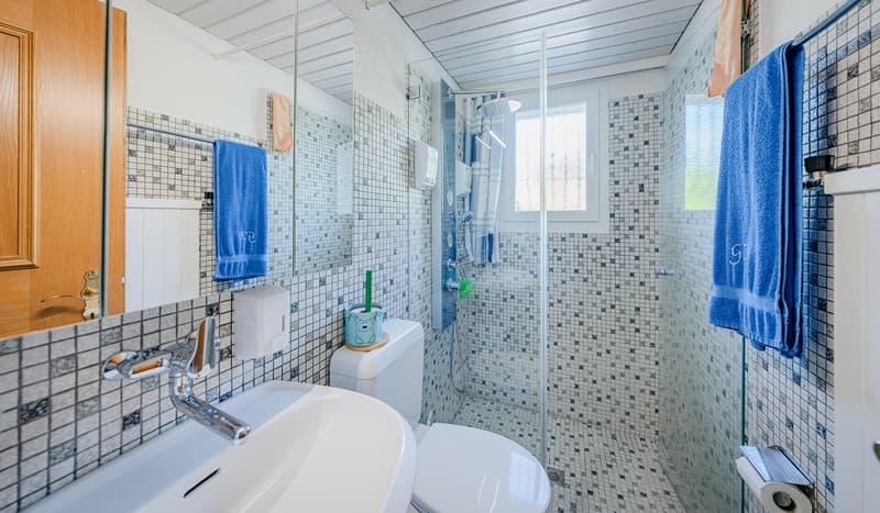 THINK BIG - WELL MAINTAINED 7.5 ROOM DETACHED HOUSE (6)