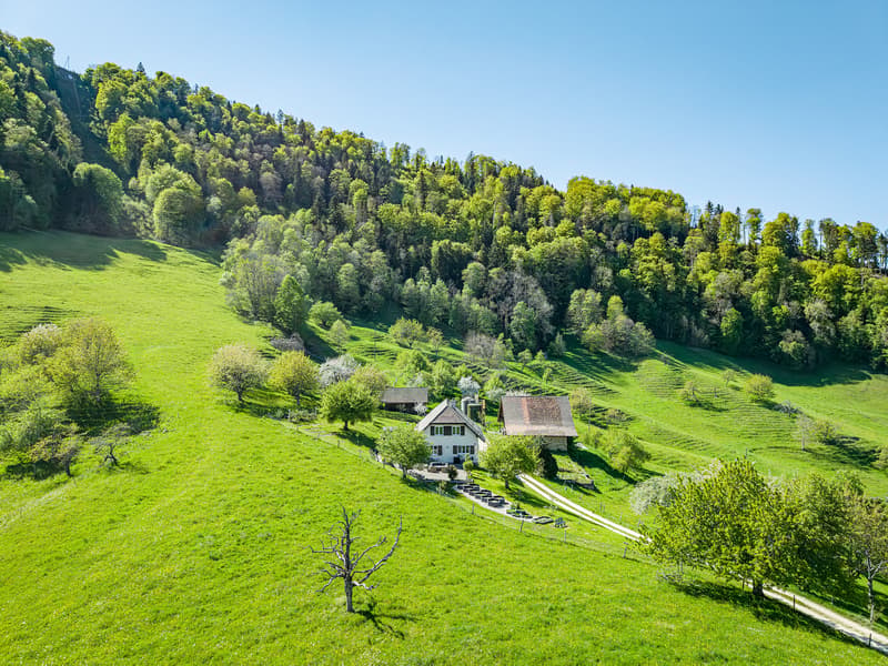 FRIEDLICHES ANWESEN IM GRÜNEN PARADIES (7)