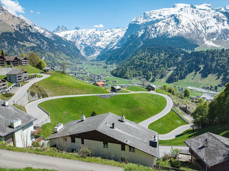 HAUT AU-DESSUS D'ENGELBERG (1)