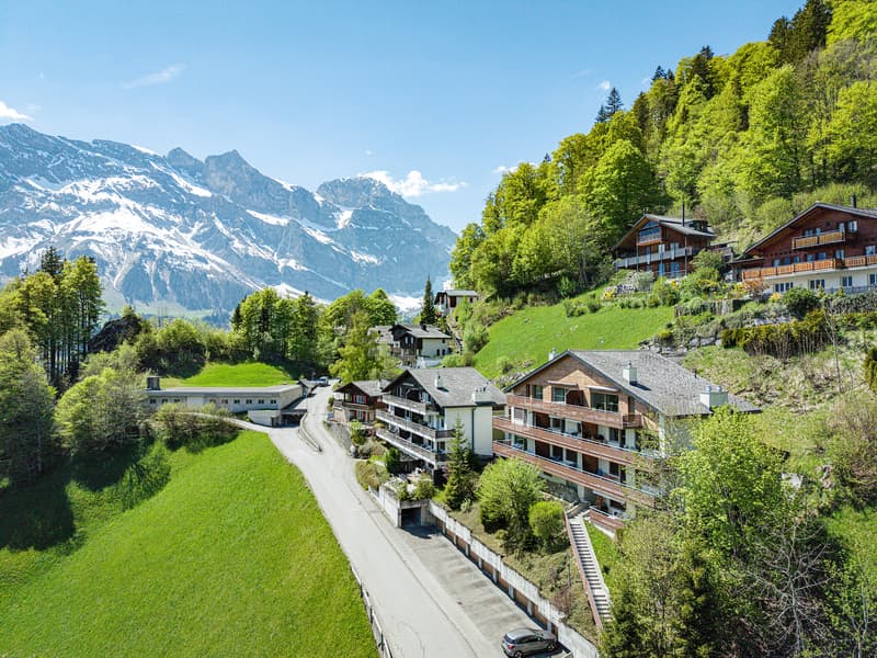 HAUT AU-DESSUS D'ENGELBERG (7)